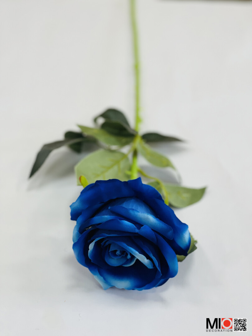 Hoa hồng xanh MIH00001